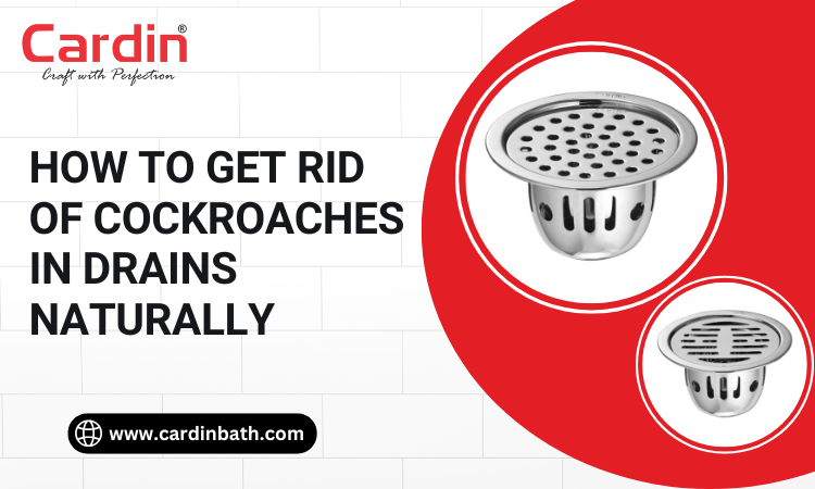 get rid of cockroaches in drains